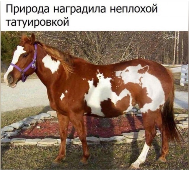 Так себе картинки 26.03.25