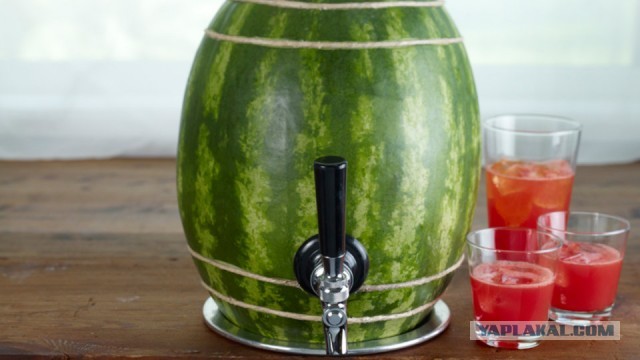 9 лучших изобретений для пикника