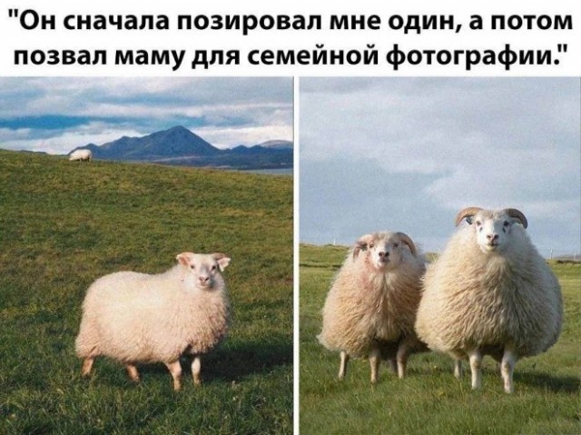 Веселые картинки в маленькую пятницу 23.04