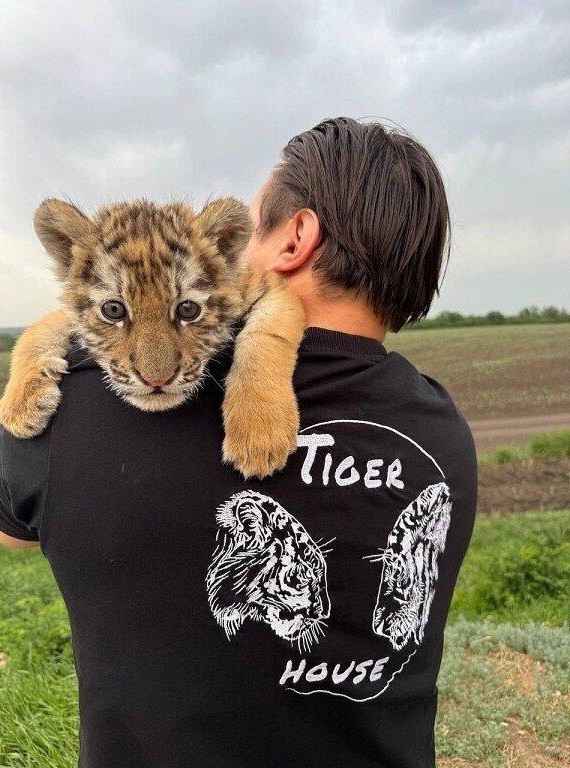 Экзотики захотели.