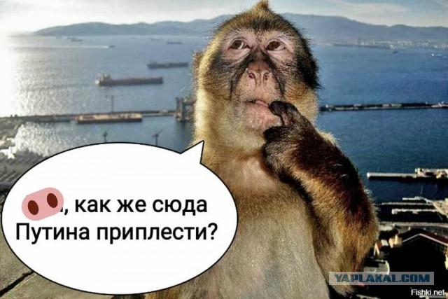 Старенькие сериальчики, которые можно пересмотреть