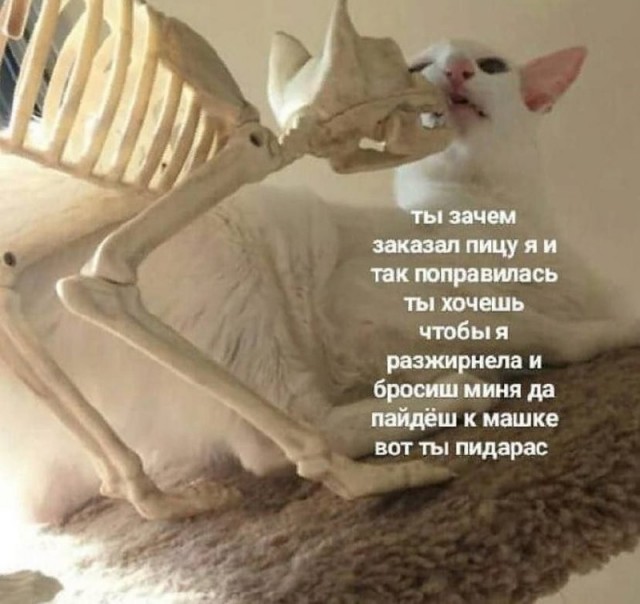 Картинки для деградации 29 (разной степени свежести)