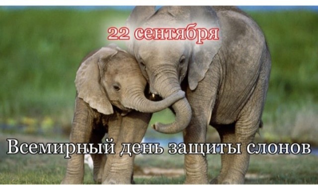 Не могу есть с женой