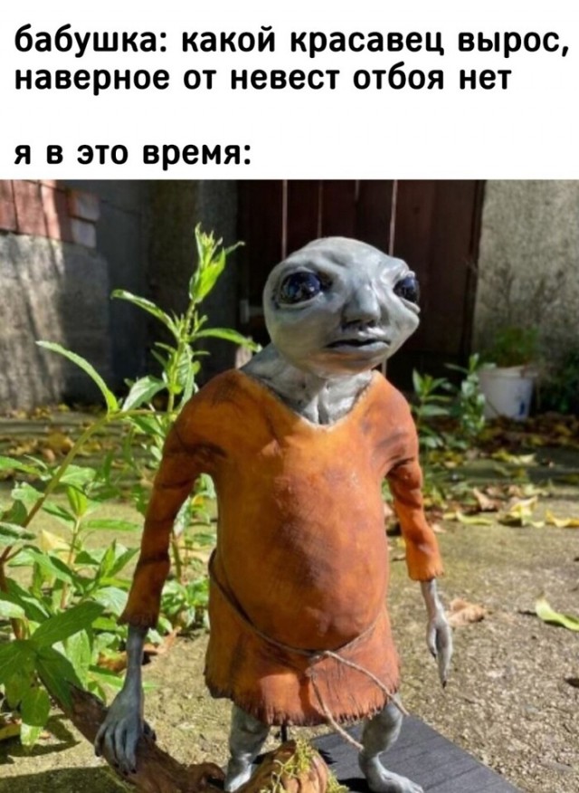 Так себе картинки 02.10.25