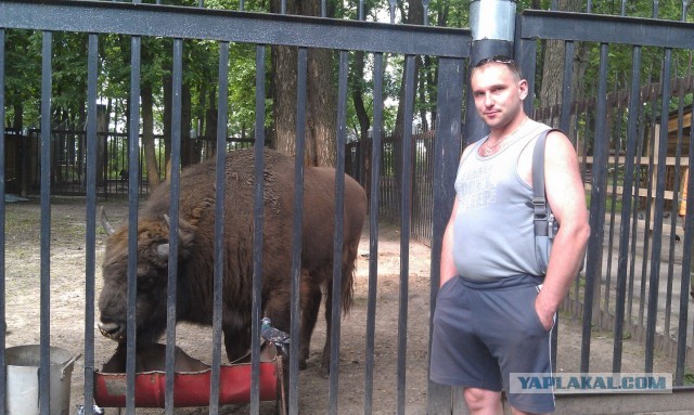 Поездка в Беларусь