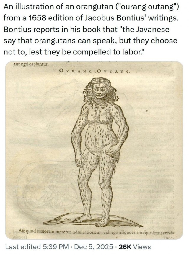 Куда делись неизвестные сейчас виды человека?