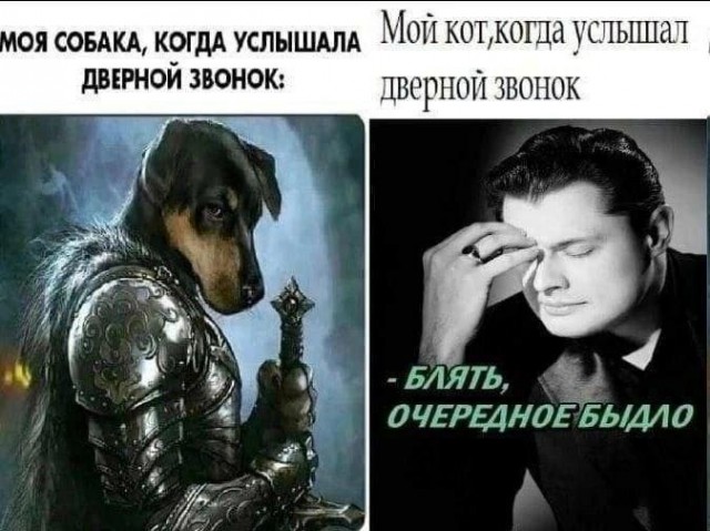 Картинки для деградации 117 (разной степени свежести)
