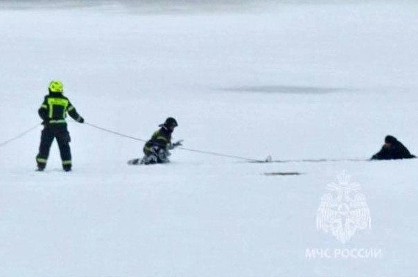 Белочка вместо деда мороза