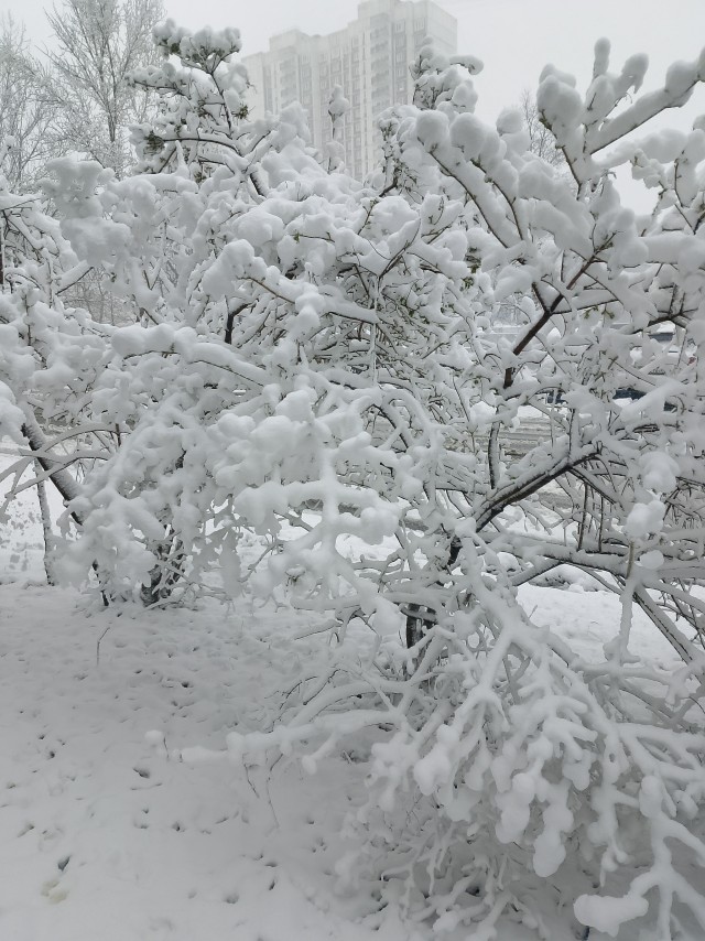 Утро в Москве