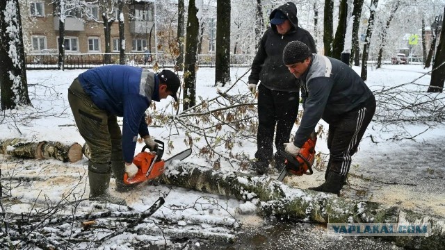 209 поваленных деревьев и десятки метров оборванных проводов в Серпуховском округе после снегопада