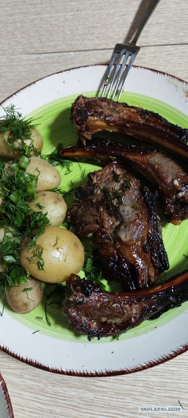 Майские пикники: сколько стоит шашлык и какое мясо выбрать