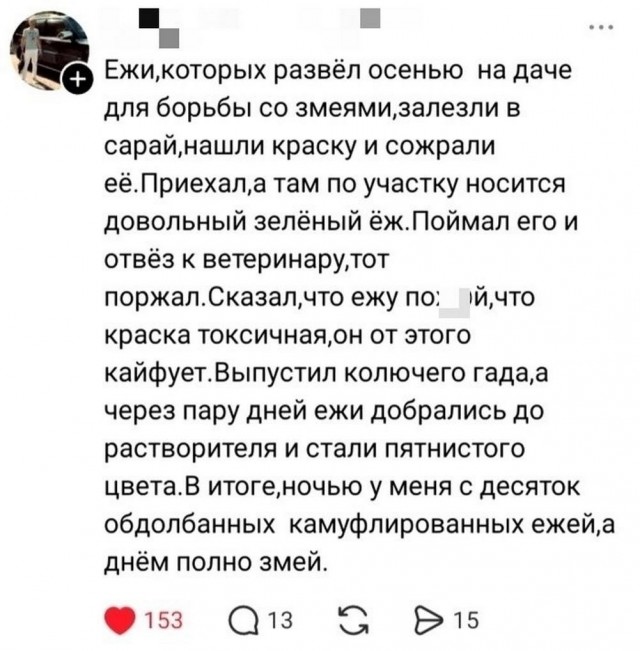 Картинки для деградации 203  (разной степени свежести)