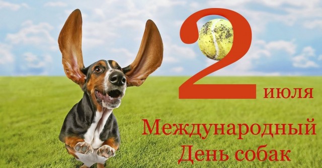 Нет у нас дождевика. К собакочетвергу