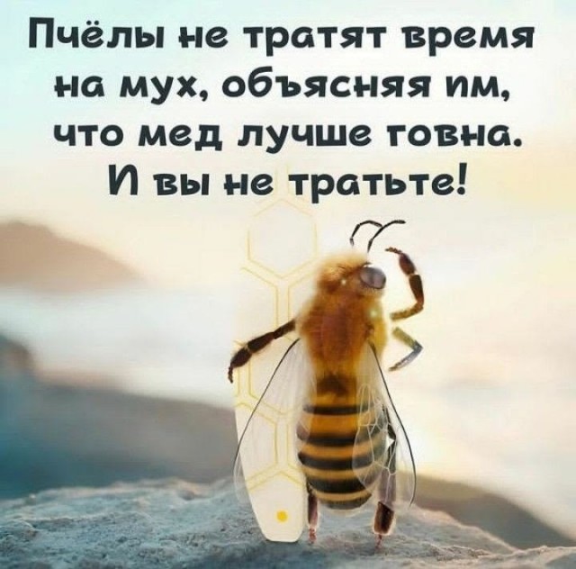 Пятничные бояны