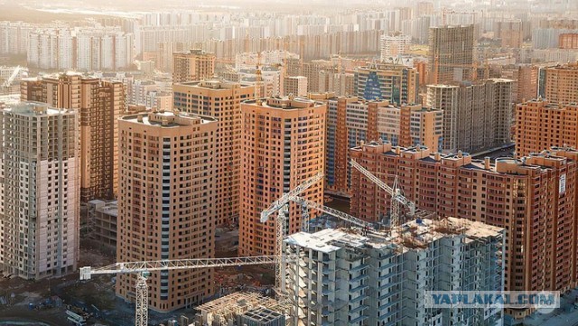 Сезон томатов в Италии