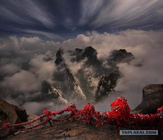 28 самых удачных кадров февраля