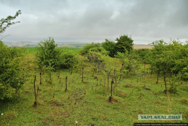 Заброшенный форт линии Мажино PO Welschhof