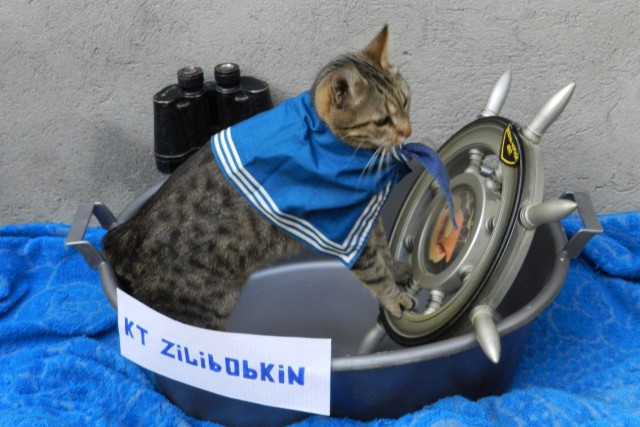 "В нашу гавань заходили корабли!"