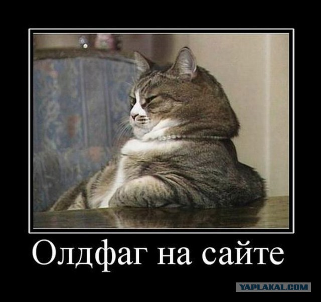 Весёлые картинки