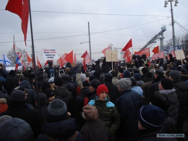 Лучшие плакаты с митинга 24.12