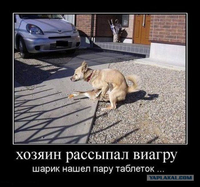 Картинки из сети на понедельник