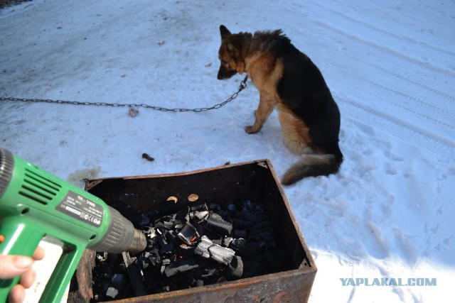 Же не манж па сис жур..