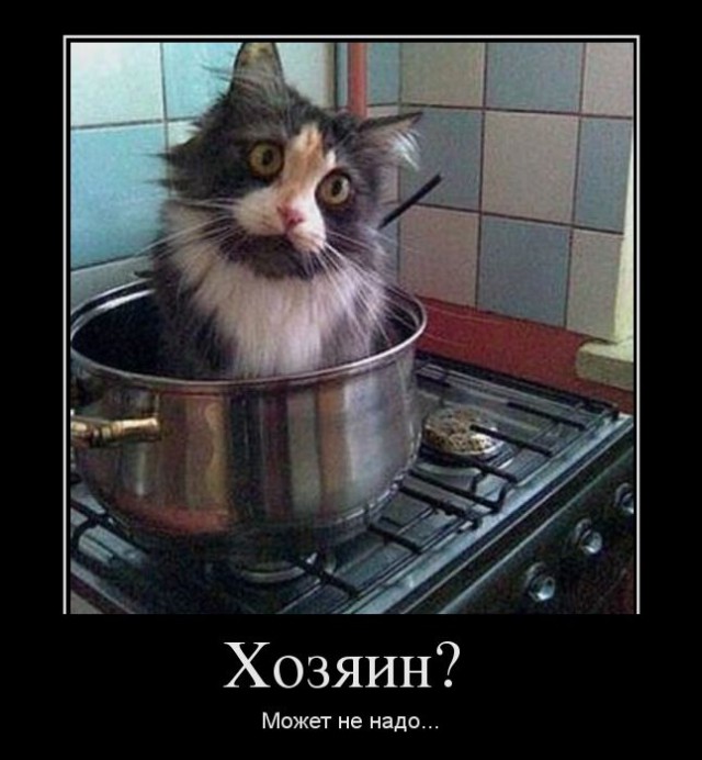 Немного братьев наших меньших! ЧЕТВЕРГ