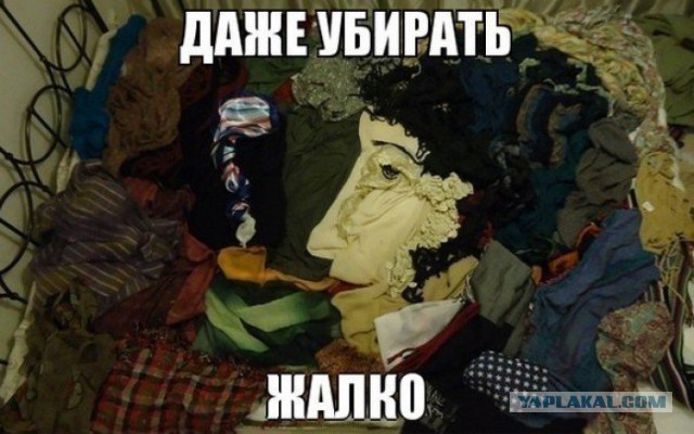 Королевы срача или хозяйственные чистюли?