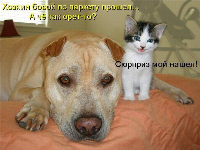 Картинки с буквами -11