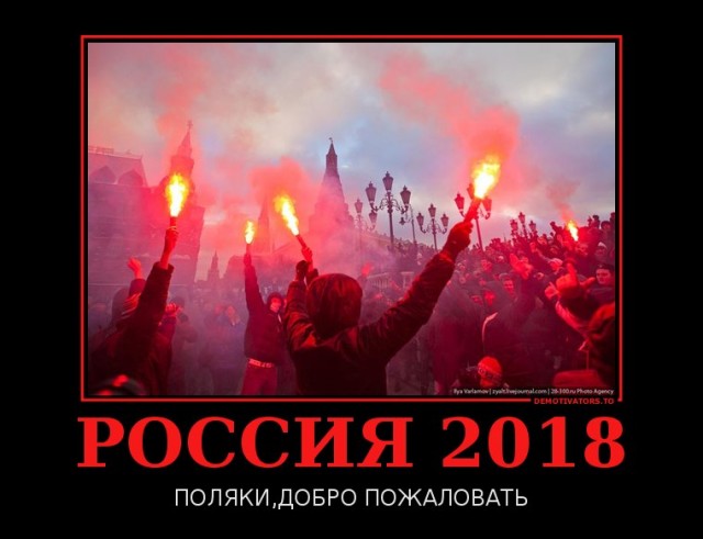 Вот что думают поляки по поводу махача