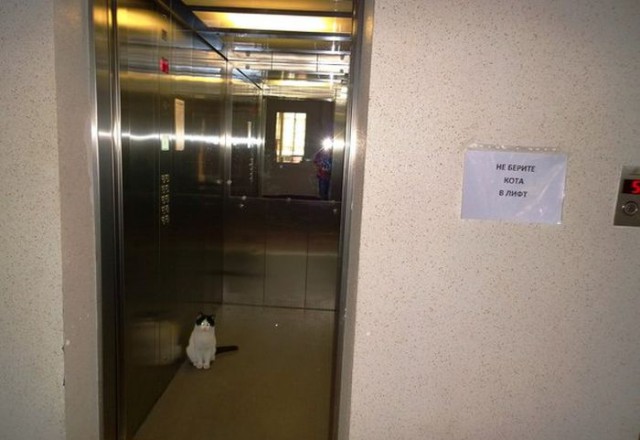 Подборка прикольных фото на среду