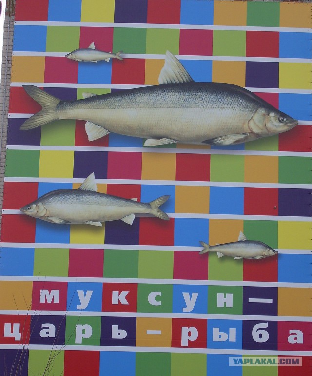 А вы слышали про город НАДЫМ?