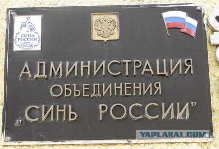 Картинки из сети