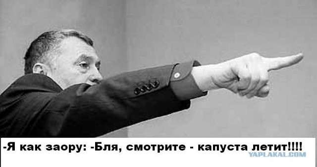 В Жириновского бросили капустой