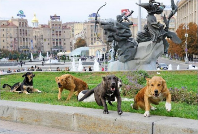 Неприятностей подборка