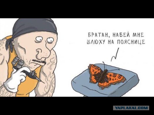 Ужасы и приколы из соцсетей 18+