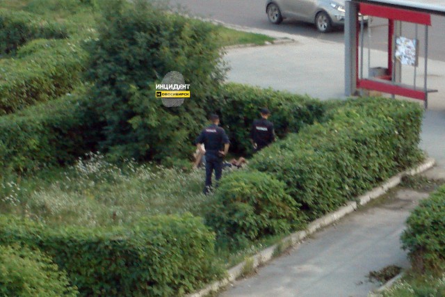 Секс в публичном месте