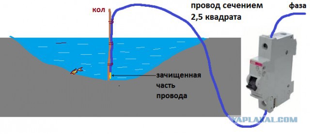 На заметку тем, кто решил сделать пруд?