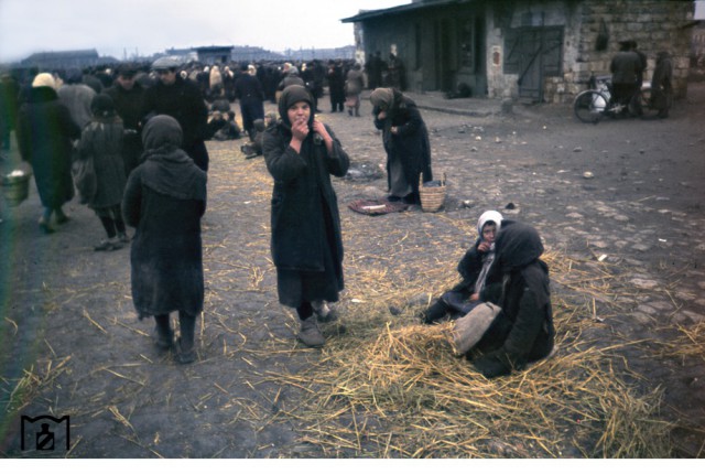 Украинские железные дороги 1943 г. глазами немцев