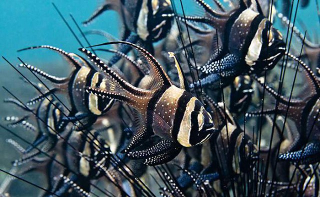 Подборка интересных и веселых картинок