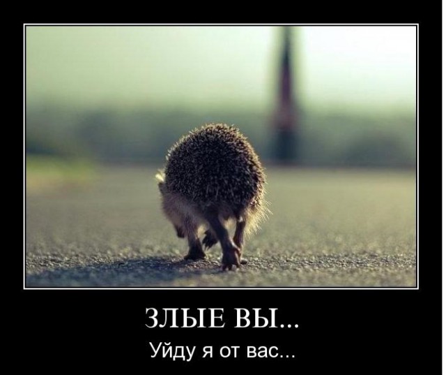 Название темы