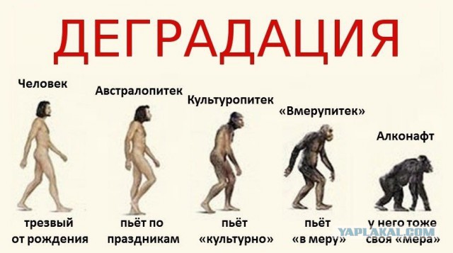 Просто картинки
