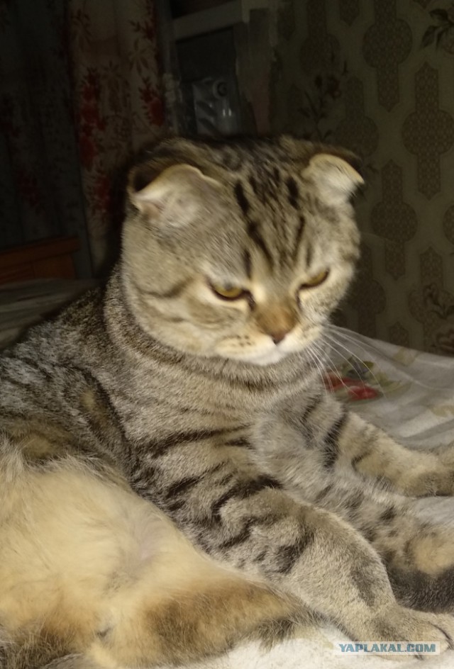 Я сдался в рабство