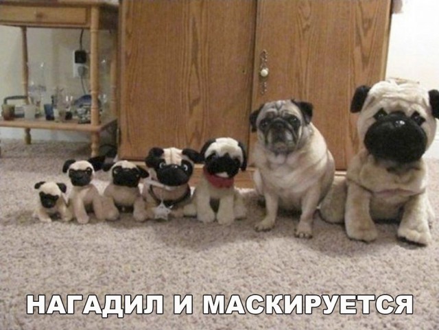 Нестандартный юмор