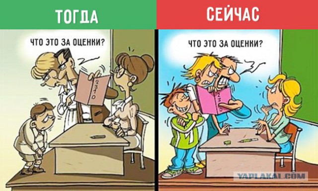 «Ты че, дебилка?!» В Петербурге учитель русского языка 40 минут орала на пятиклассницу за опрокинутый цветок