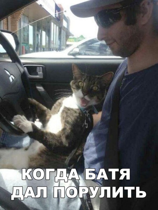 Нестандартный юмор