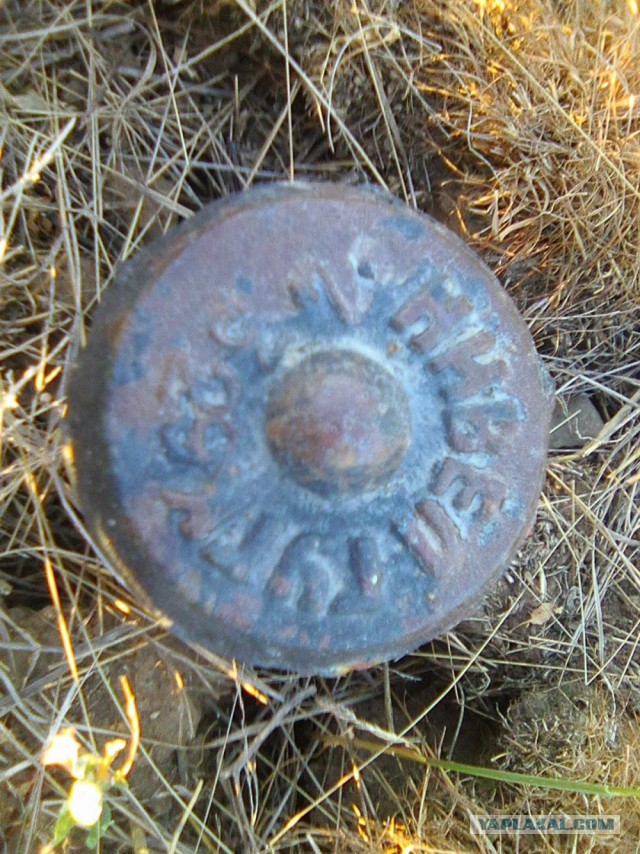 Командировка. В леса