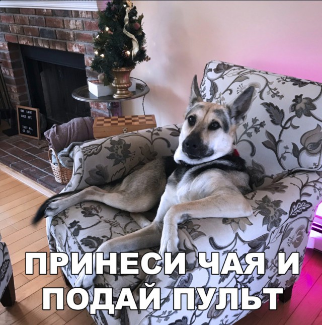 Нестандартный юмор