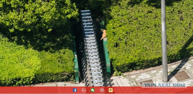 Фото с разрешением 195 Гигапикселей