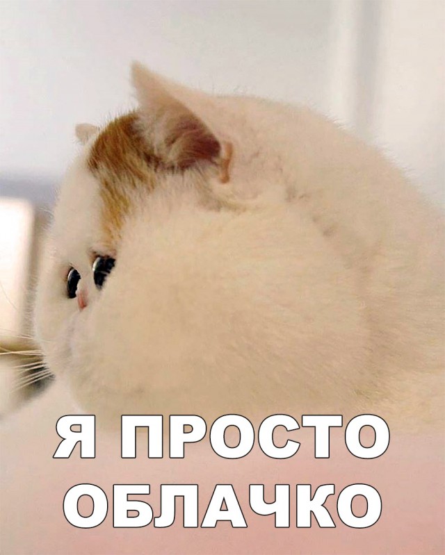 Немного милоты